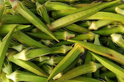 LPR LADY FINGER, (BINDI) Seed(200 per packet)