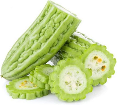 CYBEXIS GUA-49 - Bitter Gourd Squash Balsam Pear - (100 Seeds) Seed(100 per packet)