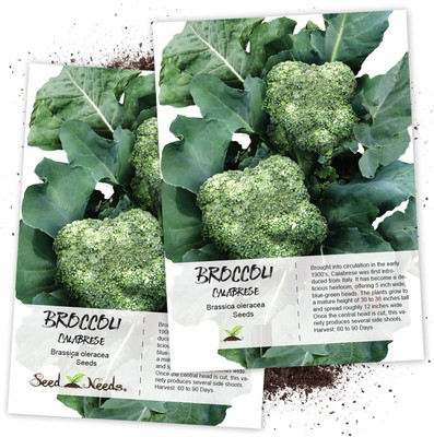WILLVINE Calabrese Broccoli (Brassica oleracea)-2 x Packet Seed(200 per packet)