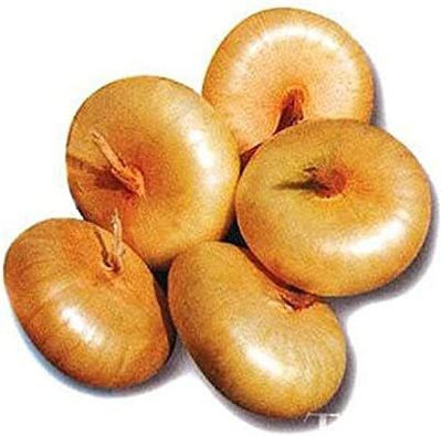 VibeX ® LXI-808 Bianca Di Maggio Onion Seeds Seed(1000 per packet)