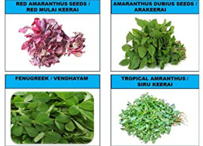 CHILLATAI Combo Spinach Seeds / Combo Leaf Vegetable Seeds Pack 4 Variety Seed(9400 g)