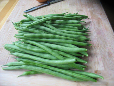 SEMPA French Beans Vegetable Seed(500 per packet)