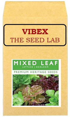 CYBEXIS Lettuce Mixed Leaf Hybrid Seeds4000 Seeds Seed(4000 per packet)