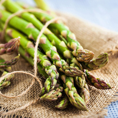 CYBEXIS Hybrid Asparagus Seeds100 Seeds Seed(100 per packet)