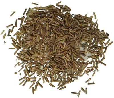 BDSresolve Superbena verbena seeds Pack of 39 Seed(39 per packet)