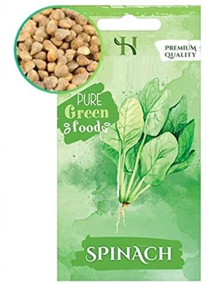 CYBEXIS Heirloom Herb Seeds-Spinach4000 Seeds Seed(4000 per packet)