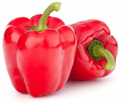CYBEXIS ATS-33 - Capsicum Red Colour - (150 Seeds) Seed(150 per packet)