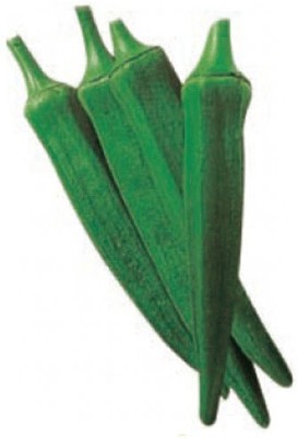 Quentova Home Garden Okra Seeds-VISHVA-3B Seed(150 per packet)