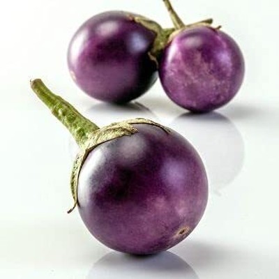 Aywal American Brinjal F1 Hybrid Variety Vegetable Seed(45 g)