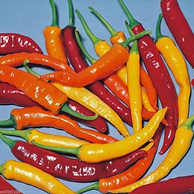 Qualtivate GBPT-4A Cayenne Pepper Hot Mix - A fiery mix Seed(300 per packet)