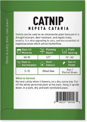 CYBEXIS GBPUT-61 - Cat Mint Catwort Catswort Catnip - (1500 Seeds) Seed(1500 per packet)