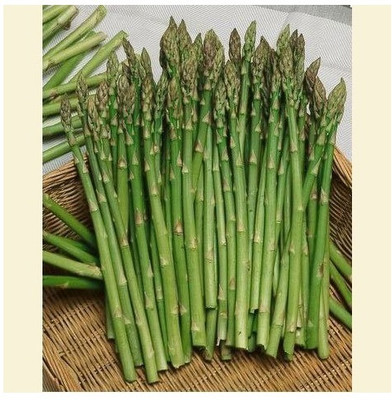 KNESSiN Herb Seed(100 per packet)