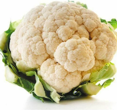 CYBEXIS Pusa Shubhra Cauliflower Variety2000 Seeds Seed(2000 per packet)
