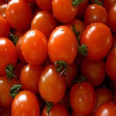VRAKSHA Cherry Tomatoes, Plum tomato Seed(2000 per packet)