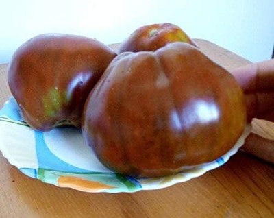 KNESSiN High Yield Black Truffle Tomato Seeds for Terrace Gardening - (400 Seeds) Seed(400 per packet)