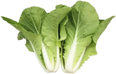 CYBEXIS Fast-Growing Cabbage and Greens2000 Seeds Seed(2000 per packet)