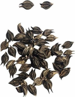 imtion Bat Head Root Seed(50 per packet)