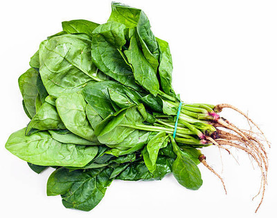 Kodali 41 Pcs-Spinach Pui Shak Seeds Seed(41 per packet)