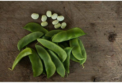 WATIKA BUSH LIMA BEAN Seed(400 per packet)
