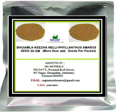 MGBN BHUIAMLA-KEEZHA NELLI-PHYLLANTHUS AMARUS SEED 50 GM Seed(400 per packet)