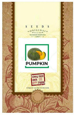 CYBEXIS Pumpkin100 Seeds Seed(100 per packet)