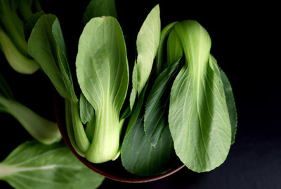 Quentova Feng Qing Pak Choi-VII-4A Seed(200 per packet)