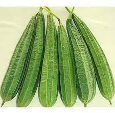 KANAYA Dhari Tori (Ridge Gourd) Hybrid Vegetable Seed(125 per packet)
