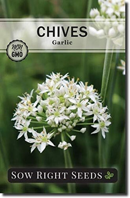 Qualtivate GBPT-3A Garlic Chives Seeds Seed(300 per packet)