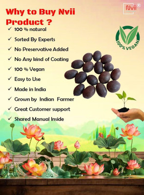 krishva 01 Seed(20 per packet)