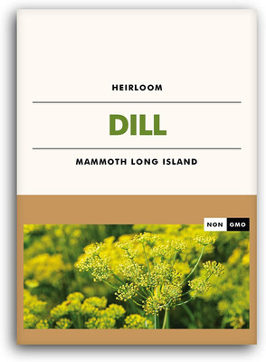 CYBEXIS HUA-14 - Dill - Hera Organic - (2250 Seeds) Seed(2250 per packet)