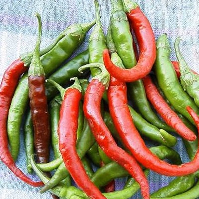 Biosnyg Long Slim Cayenne Hot Pepper Chilli-[1000 Seeds] Seed(1000 per packet)