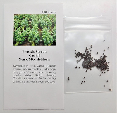 WILLVINE MAH -XII Brussels Sprouts Catskill [5g] Seed(1500 per packet)
