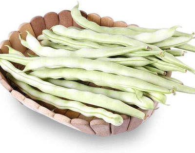 KNESSiN String Bean Seed(400 per packet)