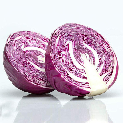 CYBEXIS Purple Cabbage Cabbage Seeds 2000 Seeds Seed(2000 per packet)