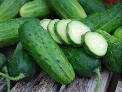 Quentova Boston Cucumber Seeds-PUAS-8L Seed(200 per packet)