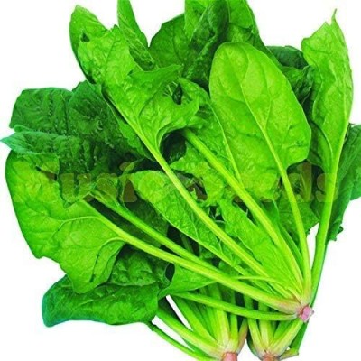 KNESSiN Spinach Seeds Vegetable Salad Leaves Good Taste Non-GMO DIY Seed(200 per packet)