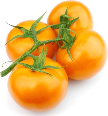 KNESSiN Yellow Tomato Seed(500 per packet)