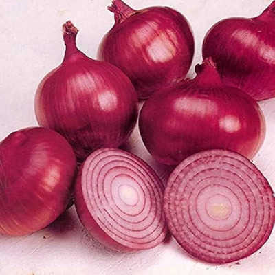 LIFELEX Onion Seeds, Pyaaj ke beej, Kalonji Plant Seed(13 per packet)