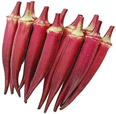 Lorvox Organic F1 Hybrid Red Okra Seed(325 per packet)