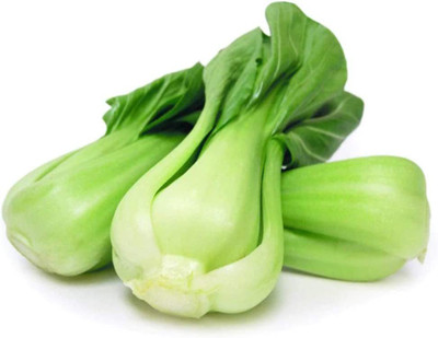 CYBEXIS High Yield White Cabbage Seeds2000 Seeds Seed(2000 per packet)