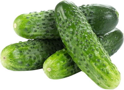 WILLVINE Boston Pickles Cucumber Seeds-[2000 Seeds] Seed(2000 per packet)