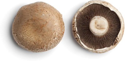 Mozette Organic mushroom herb Seed(24 per packet)