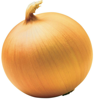 the green dotcom Sweet YELLOW SPANISH ONION Seed(60 per packet)