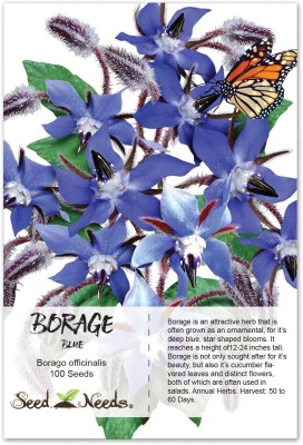 Qualtivate NBIR-5 Blue Borage Seeds Seed(100 per packet)