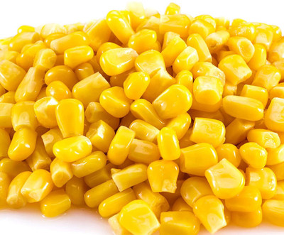 CYBEXIS Waxy Yellow Corn Seeds2000 Seeds Seed(2000 per packet)