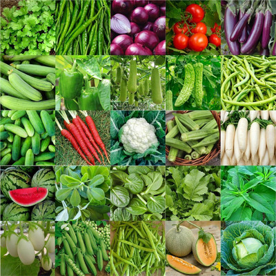 CRGO combo of 25 variety vegetable seeds with instruction manual Seed(3200 per packet)