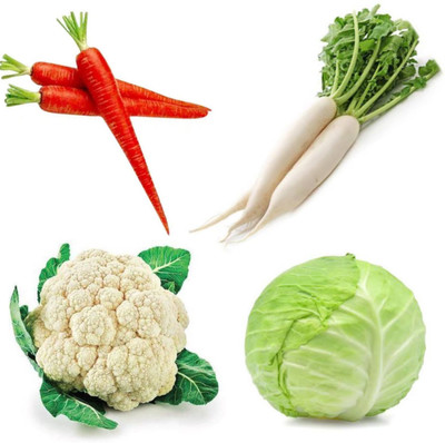 PSAgroinput Pattagobhi-PhoolGobhi-GAJAR-Moli Pack of 4 Seed(100 g)