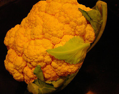 CYBEXIS Orange Cauliflower Variety2000 Seeds Seed(2000 per packet)