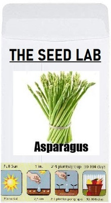 CYBEXIS Organic Vegetable Seeds-Asparagus400 Seeds Seed(400 per packet)