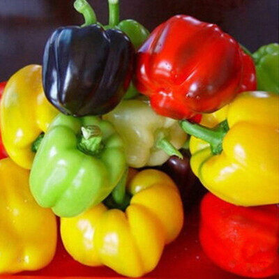 CYBEXIS Mix Blend Capsicum Seeds1200 Seeds Seed(1200 per packet)